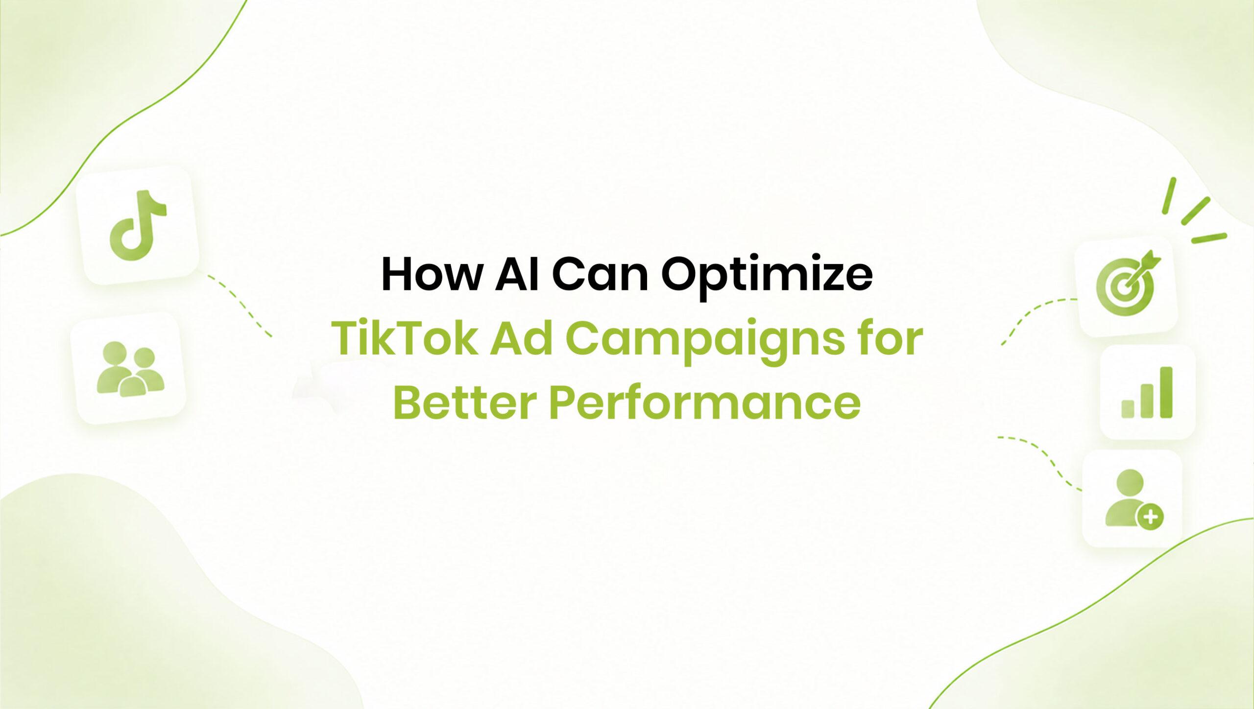 tiktok ad campaign