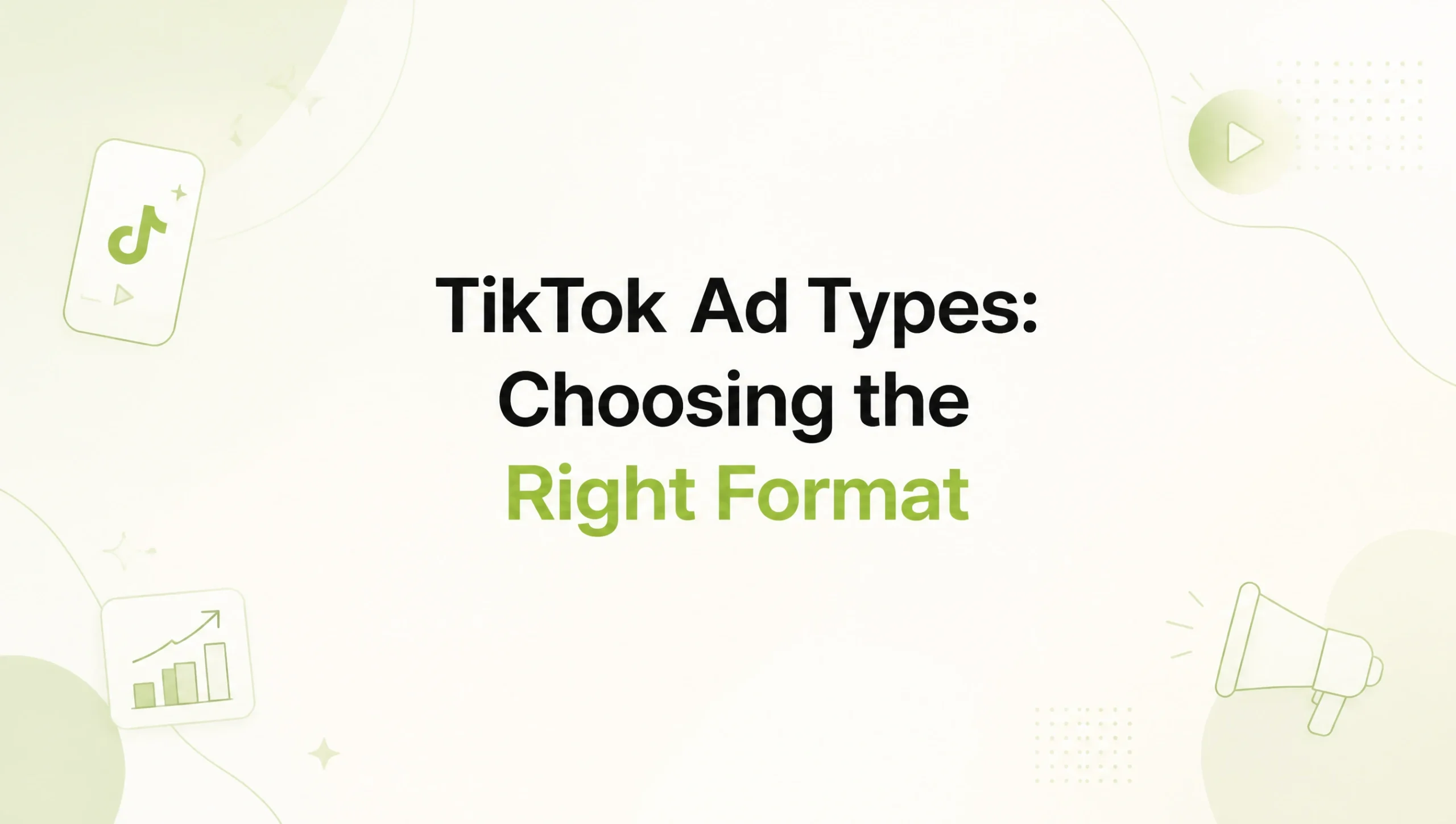 tiktok ad types